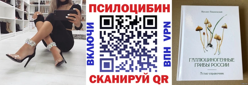 Купить где Междуреченск Псилоцибиновые грибы Psilocybine cubensis