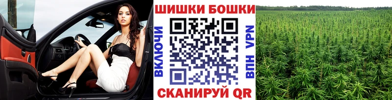 Марихуана THC 21%  Купить где  Междуреченск 